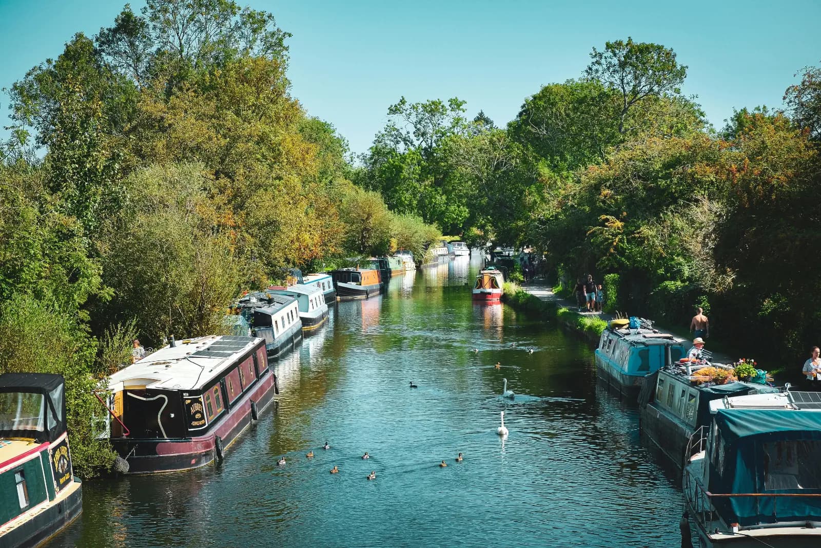 Newbury Area